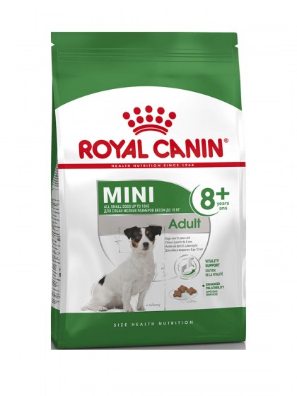 SHN MINI ADULT 8+_web